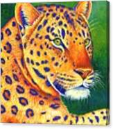 Queen Of The Jungle - Colorful Leopard Canvas Print