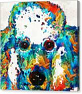 Colorful Poodle Dog Art By Sharon Cummings Canvas Print