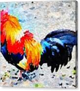 Colorful Rooster Canvas Print