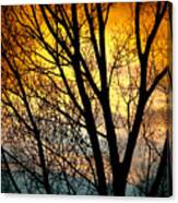 Colorful Sunset Silhouette Canvas Print