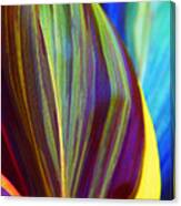 Colorful Ti Leaves Canvas Print