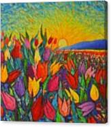 Colorful Tulips Field Sunrise - Abstract Impressionist Palette Knife Painting By Ana Maria Edulescu Canvas Print