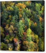 Colors Of The Smokies Canvas Print