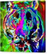 Colors Of The Tiger Canvas Print