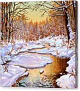 Colors Of Winter Canvas Print