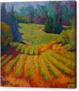 Columbia Valley Vineyard Canvas Print