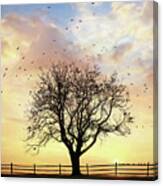 Come Fly Away Canvas Print