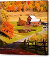 Coming Home In A Vermont Autumn Canvas Print