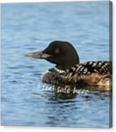 Common Loon Says I Feel Safe Here Canvas Print