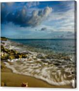 Conch Shell Canvas Print