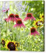 Coneflower Scene Canvas Print