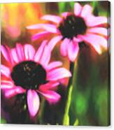 Coneflowers Canvas Print