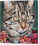 Cooper The Cat Canvas Print