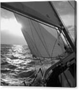 Coquette Sailing Canvas Print