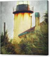 Coquille Rust And Grass Canvas Print