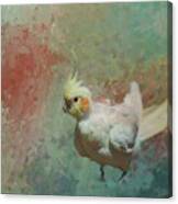 Corella Parrot Canvas Print