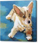Gorgi Puppy Canvas Print