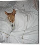 Corgi Sleeping Softly Canvas Print