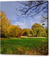 Corstorphine Fall Canvas Print