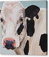 Cosmoo Cow Canvas Print