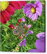 Cosmos Flowers Abstract Canvas Print