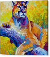 Cougar Portrait I Canvas Print