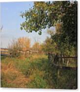 Country Lane Canvas Print