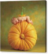 Country Pumpkin Canvas Print