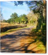 Country Road Canvas Print