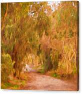 Country Roads 1 Canvas Print