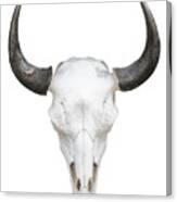 Cow Skull Knockout On White Canvas Print