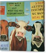 Cows On Strike Canvas Print