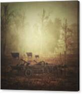 Cows, Wagon, Fog Canvas Print