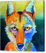 Coyote Canvas Print
