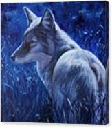 Coyote Canvas Print