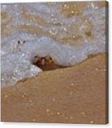 Crab In The Surf Canvas Print
