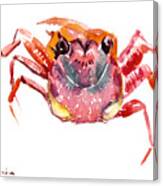 Crab Canvas Print