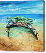 Crabby At The Beach Canvas Print