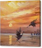 Cranes - Golden Sunset Canvas Print