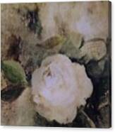 Creamy Roses Canvas Print