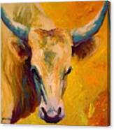 Creamy Texan - Longhorn Canvas Print