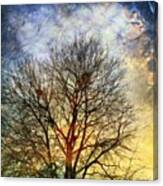 Created With #distressedfx #tree #sky Canvas Print