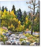 Creek At Caribou Ranch Canvas Print