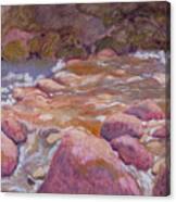 Creek In Spring Canvas Print