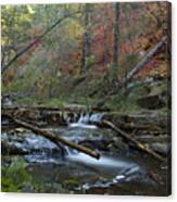 Creekside Color Canvas Print