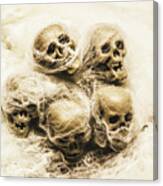 Creepy Skulls Covered In Spiderwebs Canvas Print