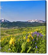 Crested Butte Overlook Canvas Print
