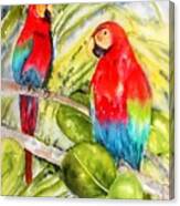 Crimson Macaws Canvas Print
