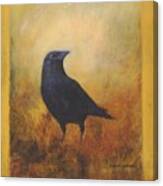 Crow 25 Canvas Print