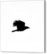 Crow In Flight Silhouette Canvas Print